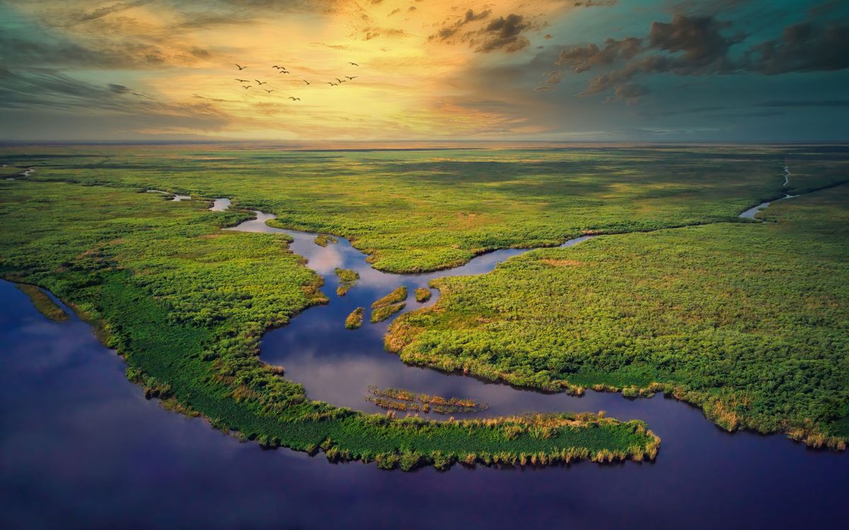 Escape to the Wild: Everglades Adventure