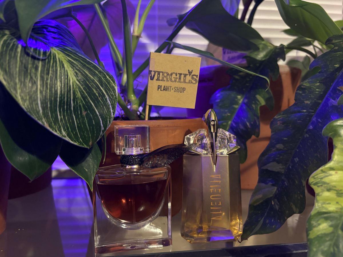 Galentine\u2019s Day Perfume Exchange and Plant Party 