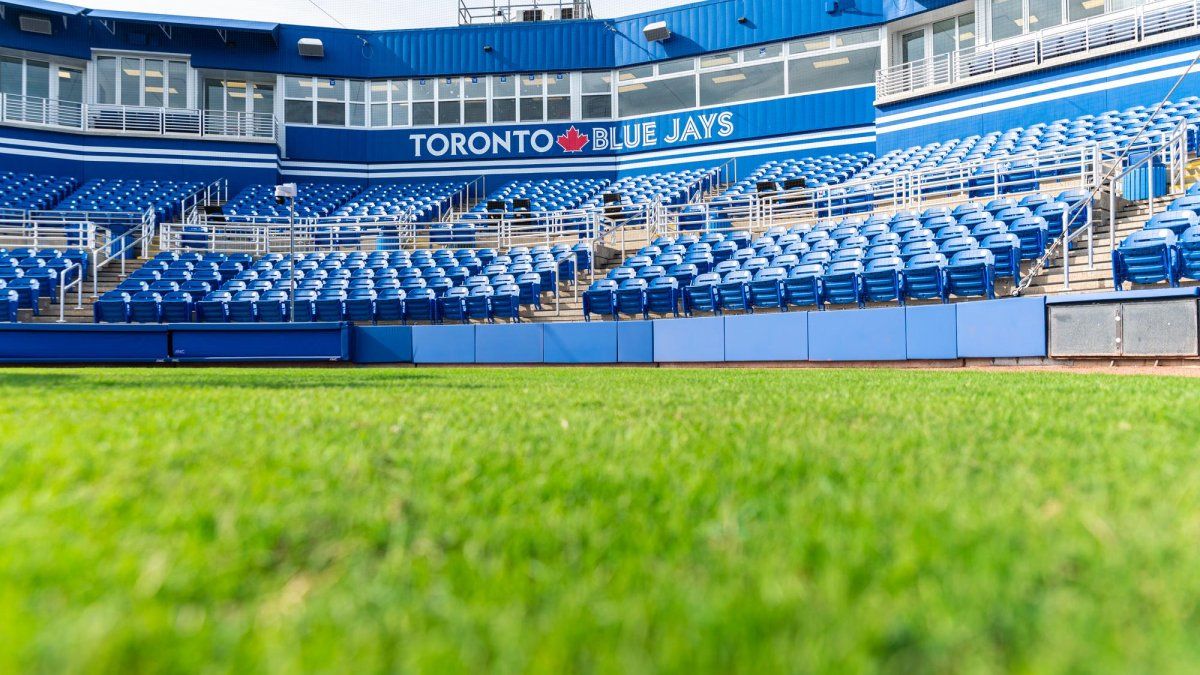 Spring Training: Tampa Bay Rays at Toronto Blue Jays