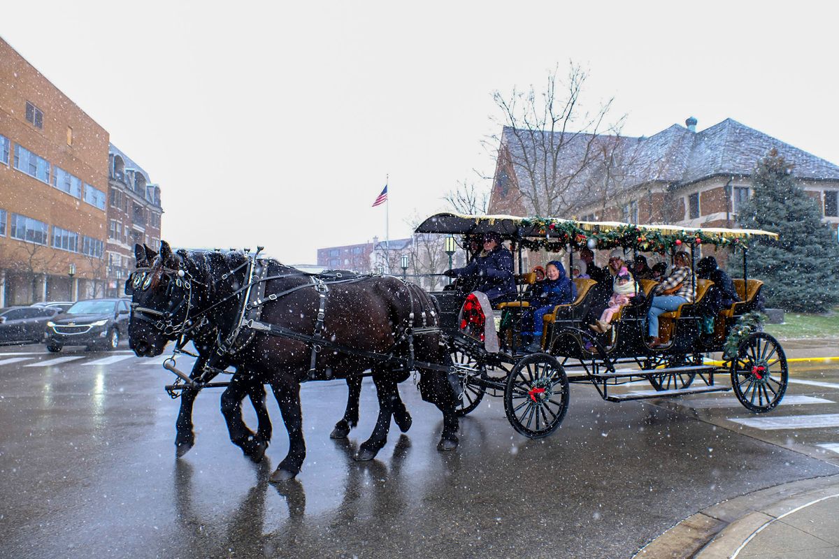 Horse Drawn Carriage Ride