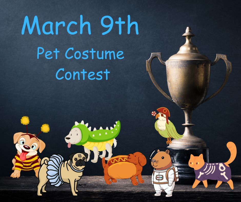 Pet Costume Contest 9th