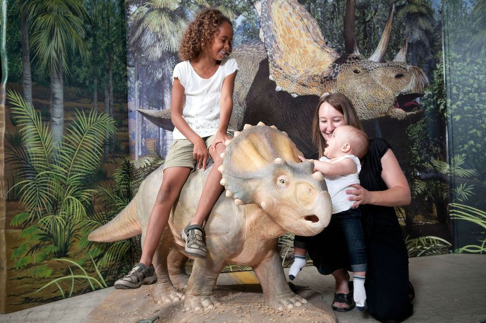 Dinosaurs Land of Fire and Ice NEW EXHIBIT AT KIDZEUM!, Kidzeum of