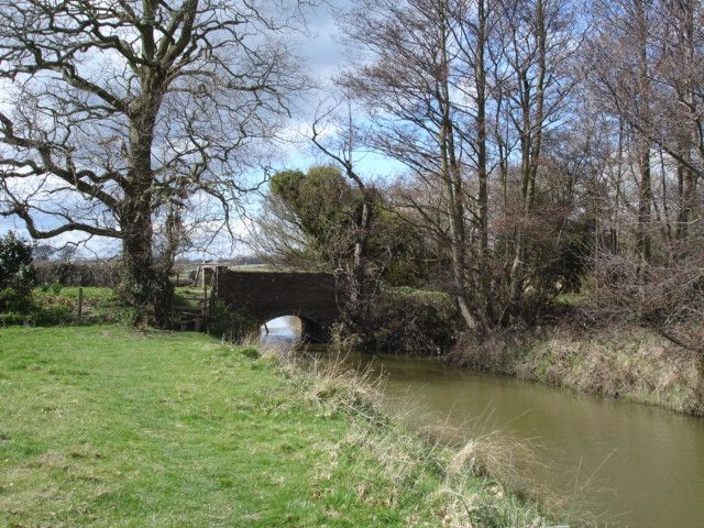 Icklesham Loop - 10km Guided Trail Run - Summer '25