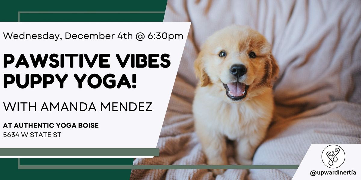 Pawsitive Vibes: Puppy Yoga in Boise