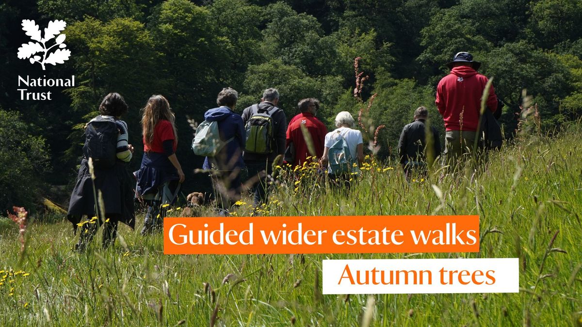 Guided wider estate walks - Autumn trees