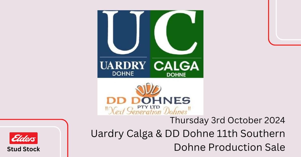 Uardry Calga & DD Dohne "11th Southern Dohne Production Sale" 