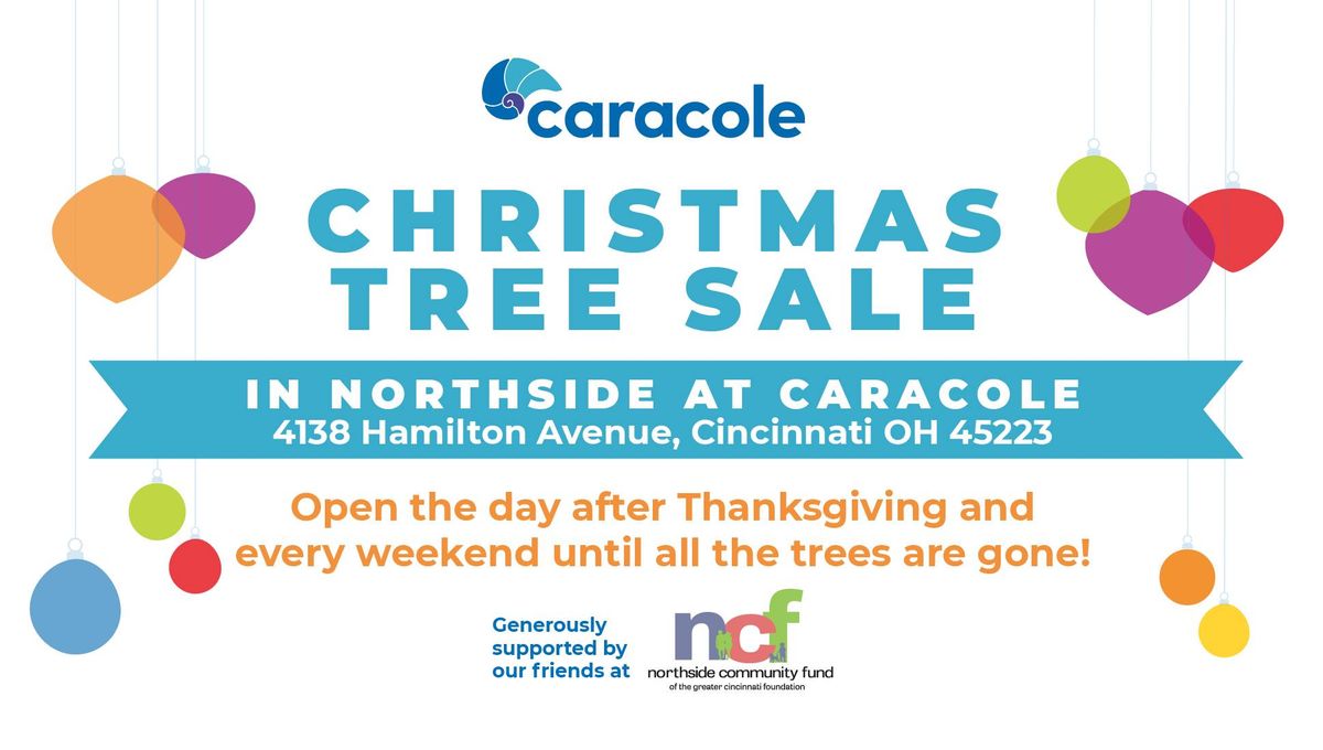 Caracole Christmas Tree Sale 2024