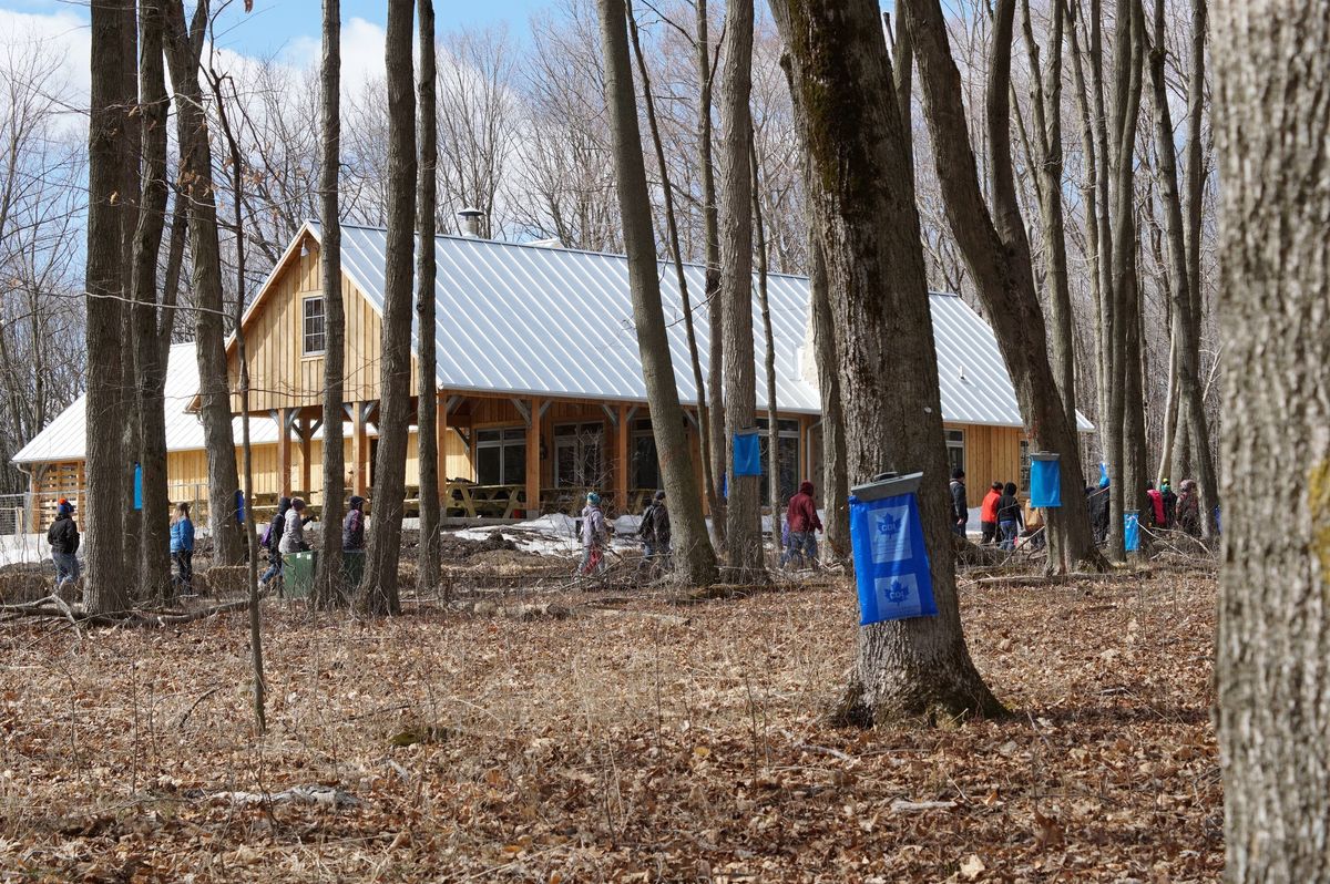 Maple Sugarin' Festival