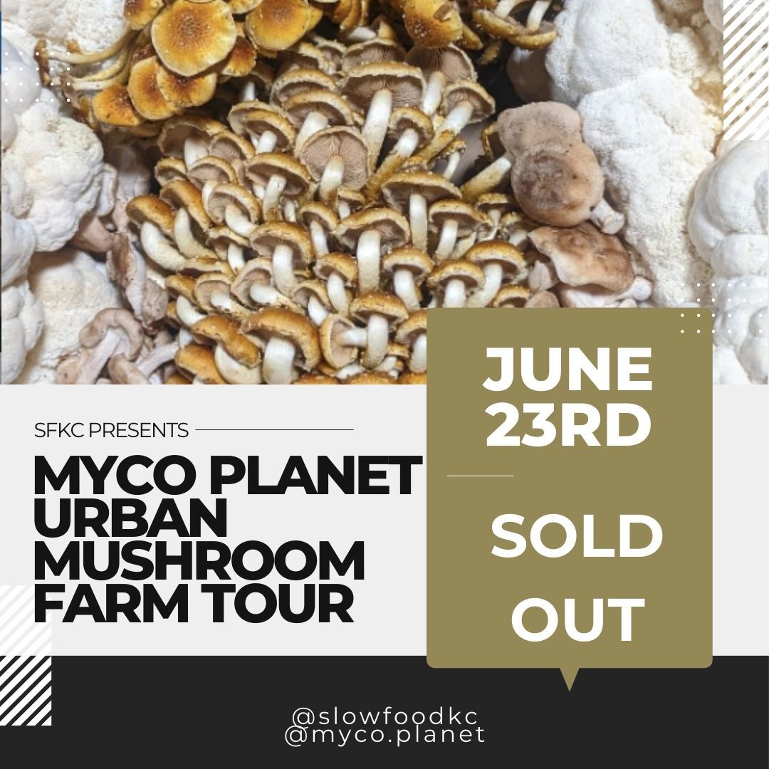 MyCo Planet Urban Mushroom Farm Tour