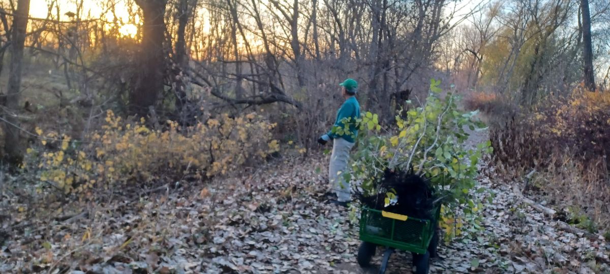 Buckthorn Pull @ Roberts Bird Sanctuary