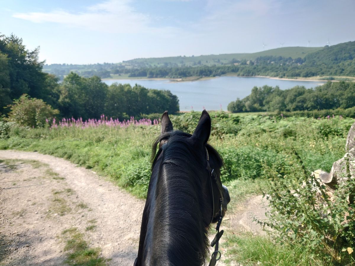 Upper Milltown 'Novice' Ride