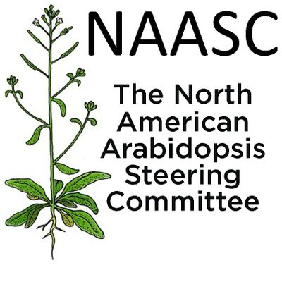 NAASC