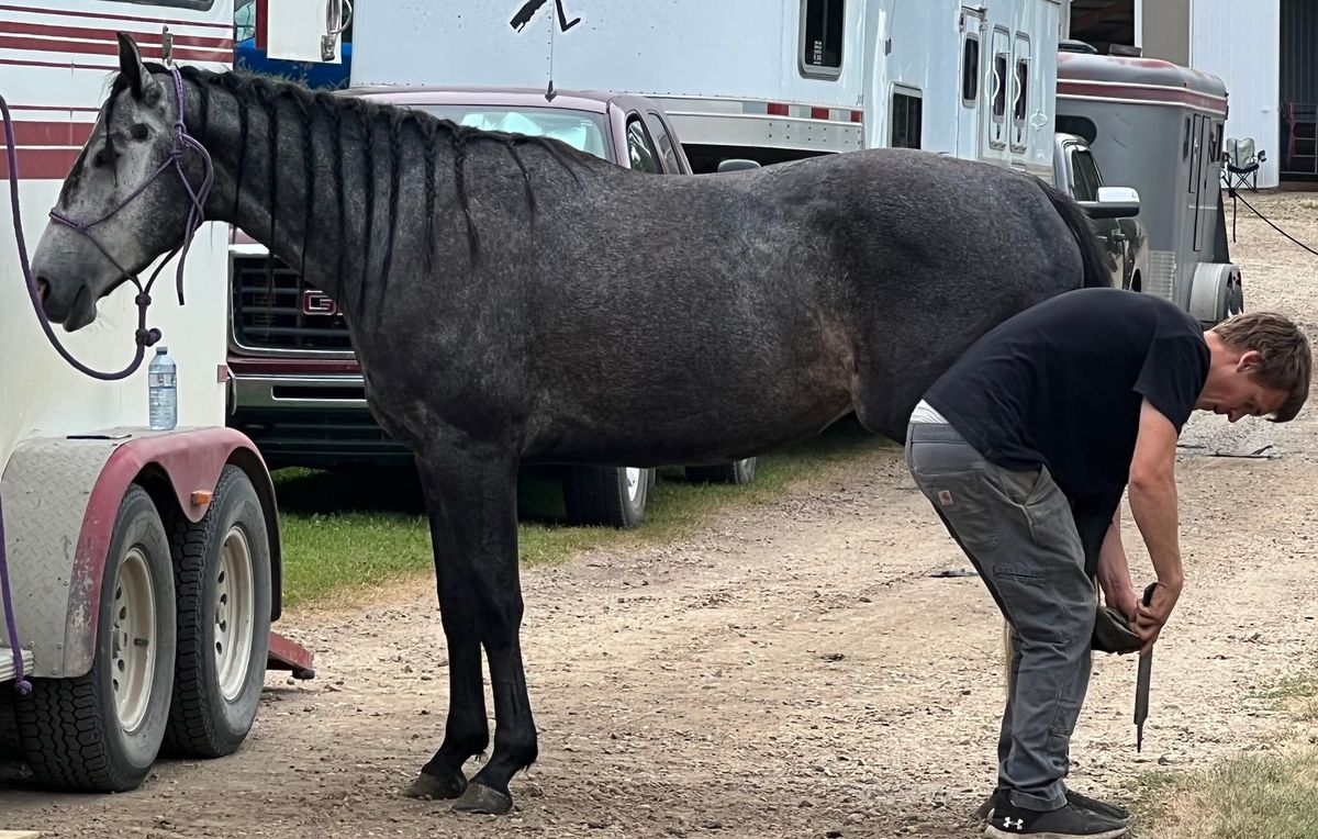 Hoof Trimming Clinic - Laird, ON - August 21-24, 2025