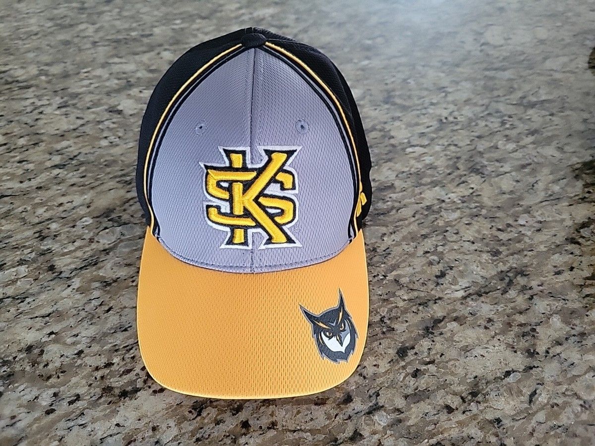 Charlotte 49ers vs. Kennesaw State Owls