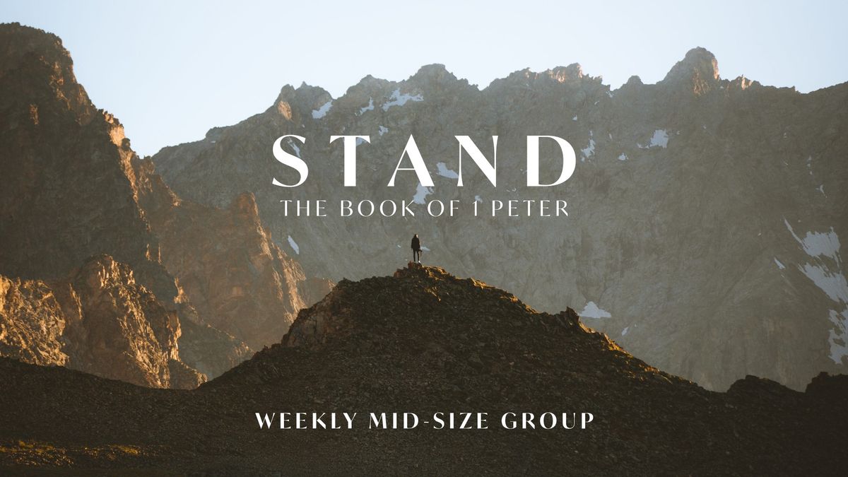 Mid-Size Group | Stand Series