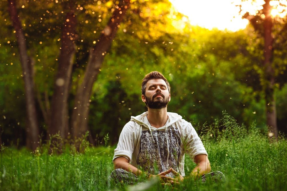 World of Meditation- Free library class 