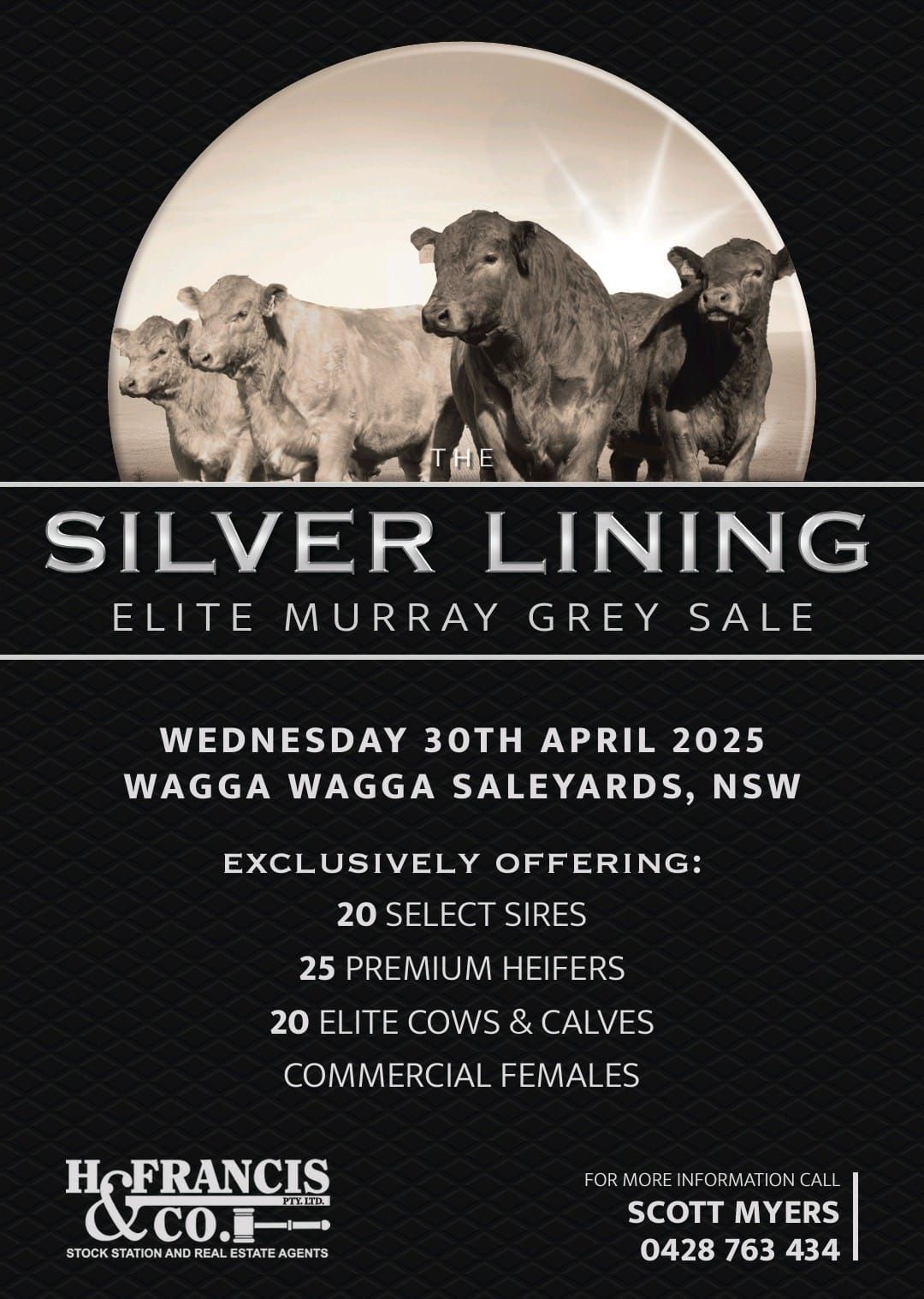 The Silver Lining Elite Murray Grey Sale