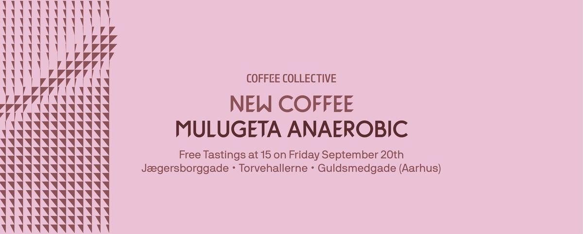 New Coffee | Free Tasting of Mulugeta Anaerobic