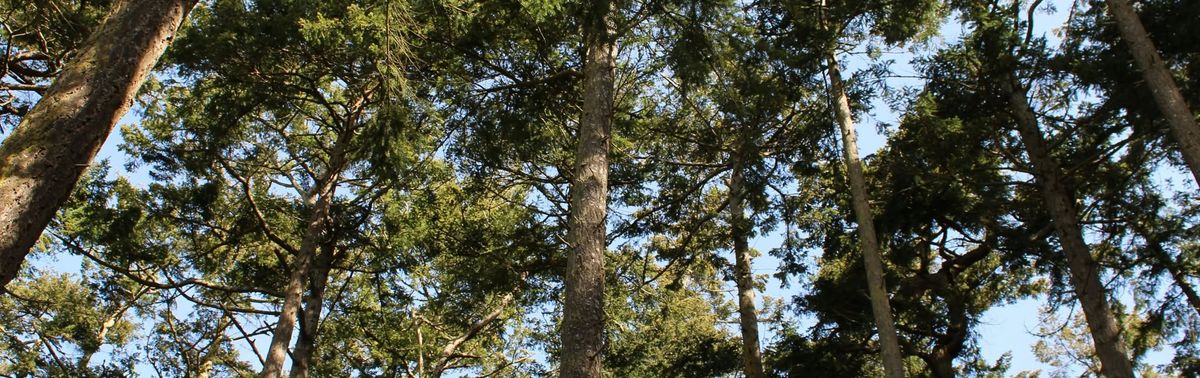 Deception Pass State Hike