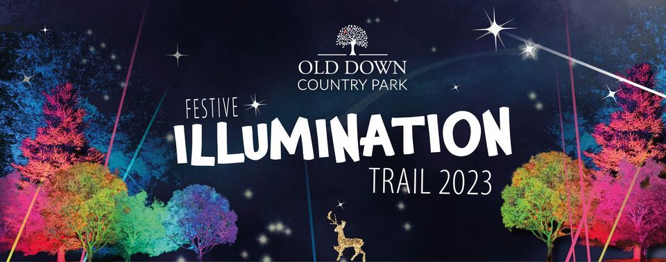 Festive Illuminations at Old Down