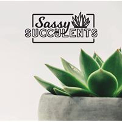 Areina\u2019s Sassy Succulents