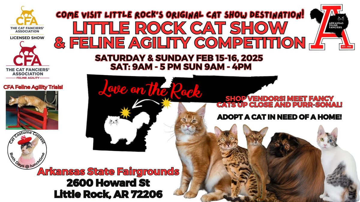 Come to Little Rock's Original CFA Cat Show & Feline Agility Competition! 