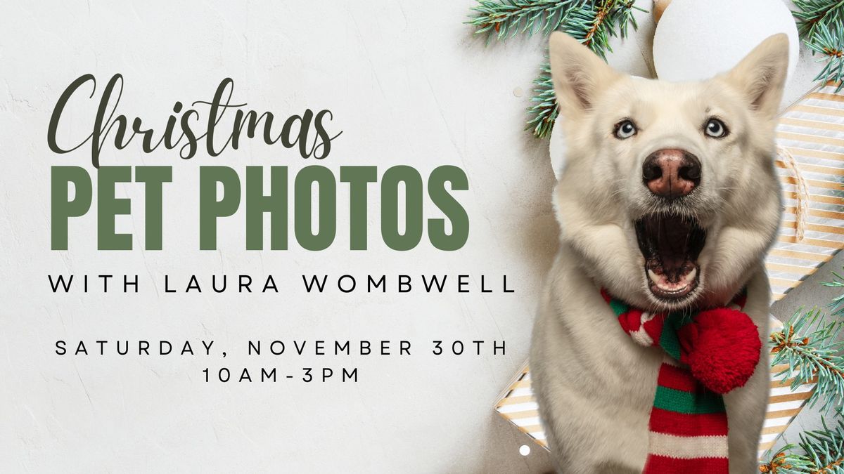 Christmas Pet Photoshoot with Laura Wombwell