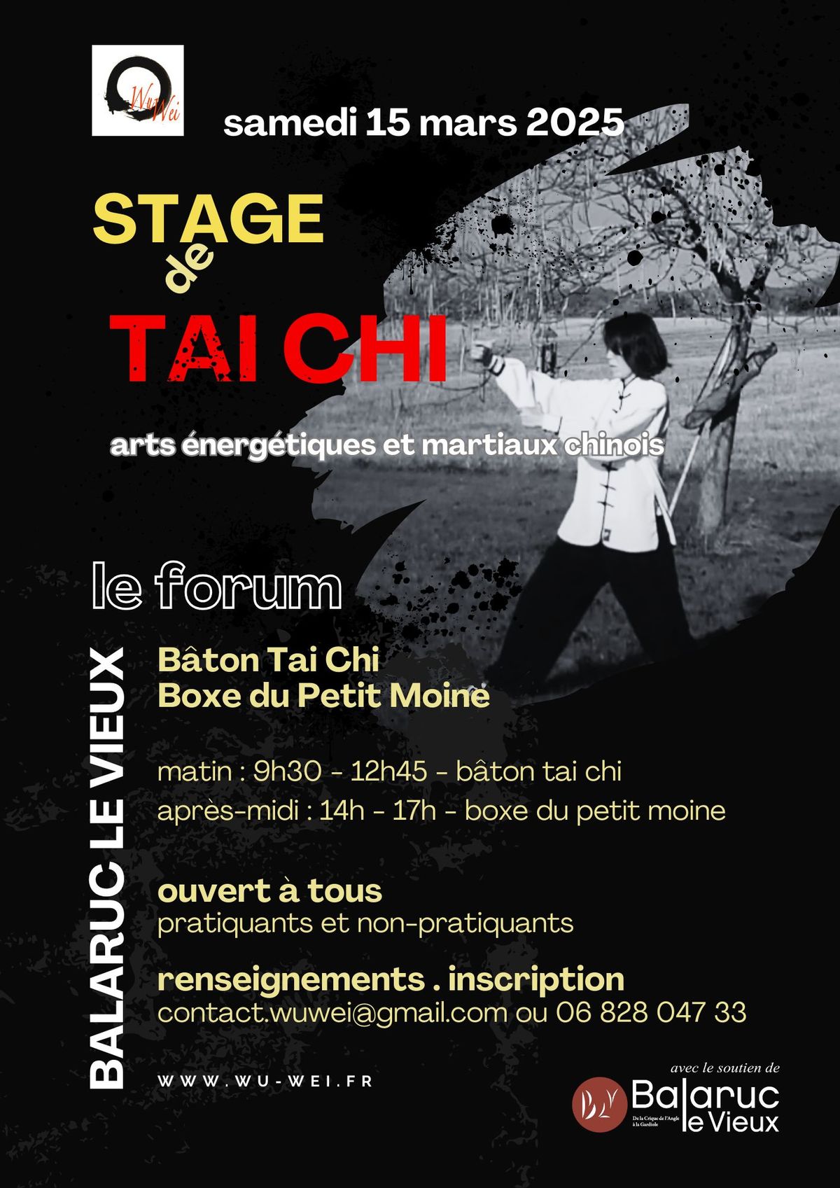 Stage Tai Chi