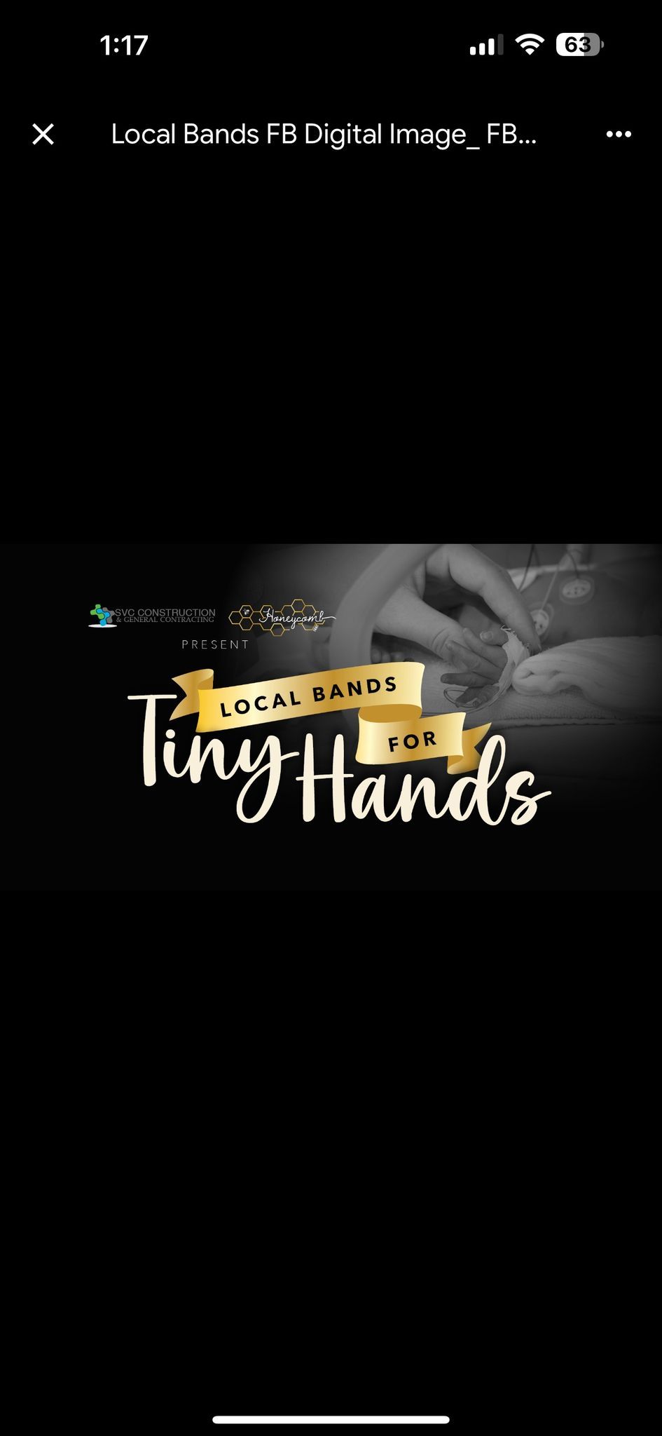 2nd Annual Local Bands for Tiny Hands