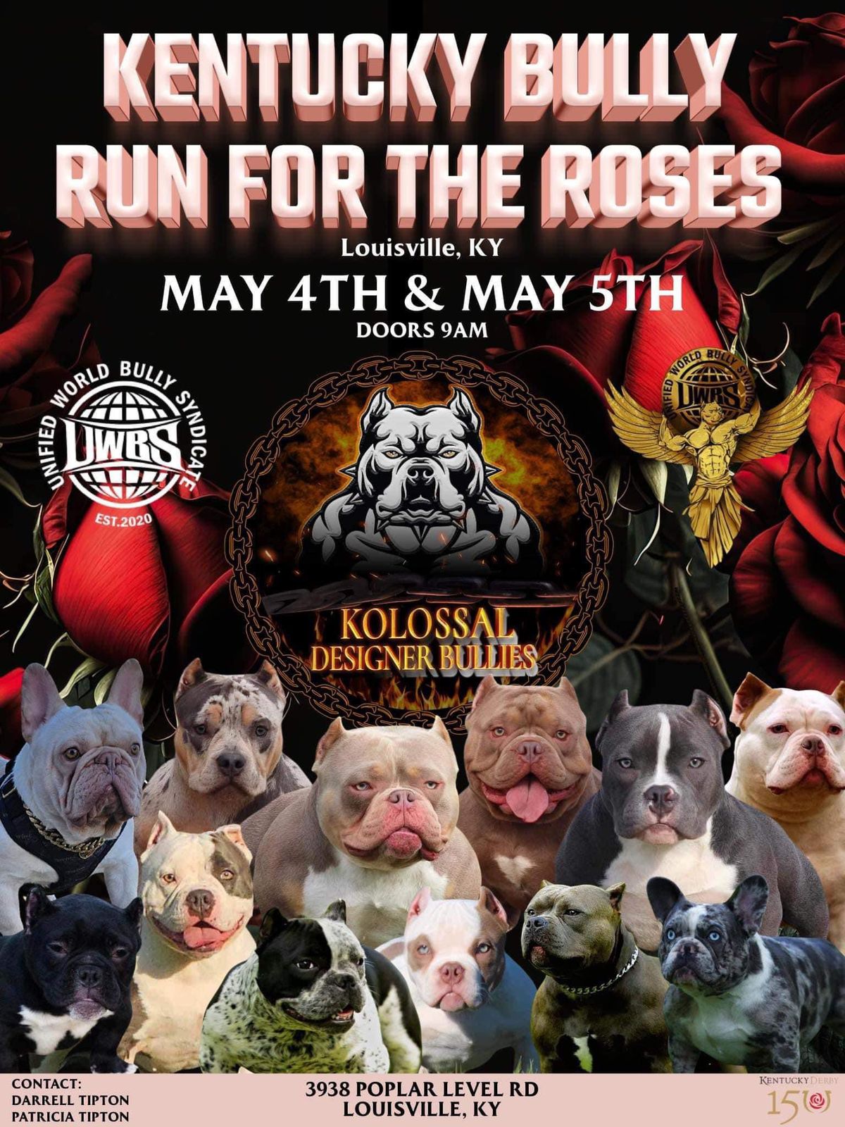 The Kentucky Bully Run ? ? For The Roses 