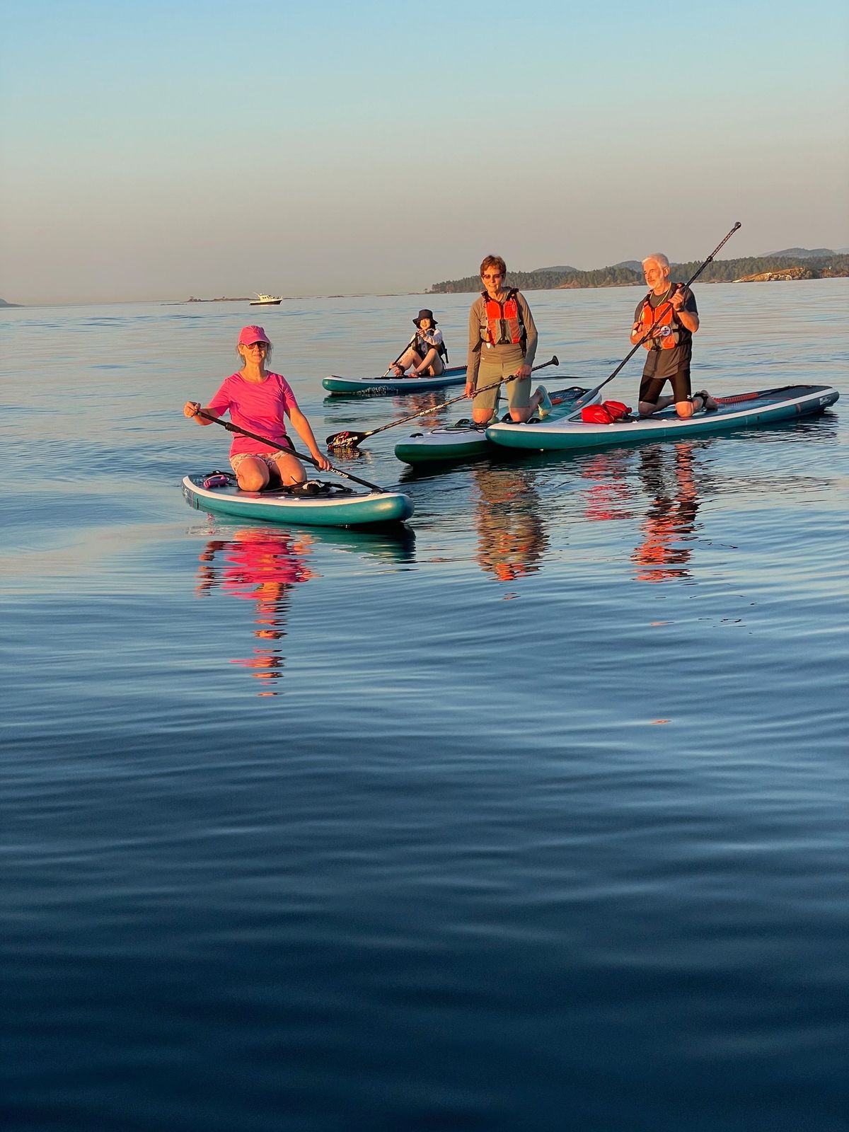 Sunny with a chance of porpoises!