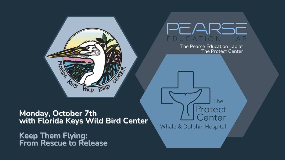 Fall Lecture Series at The Protect Center: Keep Them Flying, From Rescue to Release with FKWBC