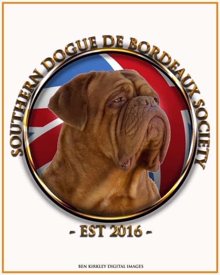 The Southern Dogue de Bordeaux Society Championship Show 