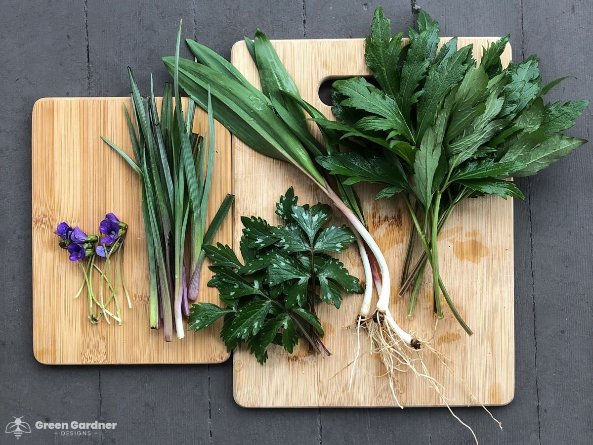 Gardening with Nature: Gardening with Native Food
