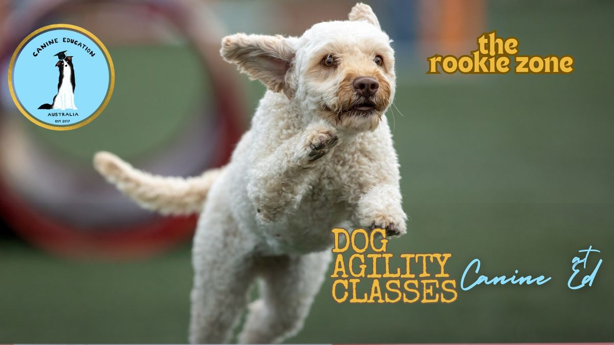 Rookie Zone - Agility - February 2025