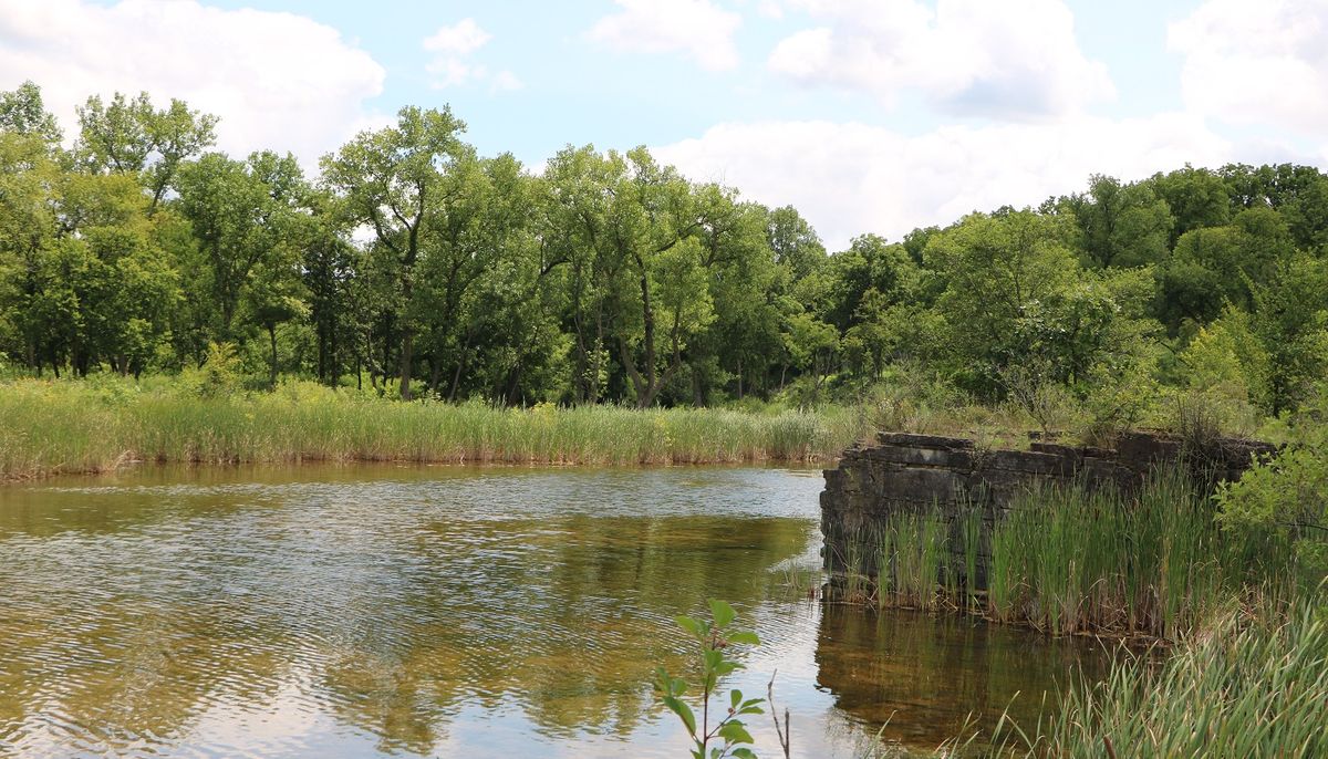 Quarries: Stories of Ancient Reef Discovery