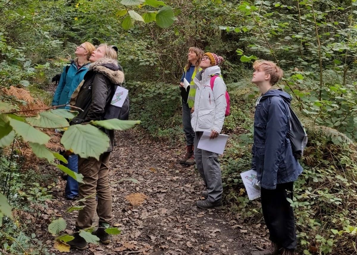 'Working Woodland' A Tour and Talk