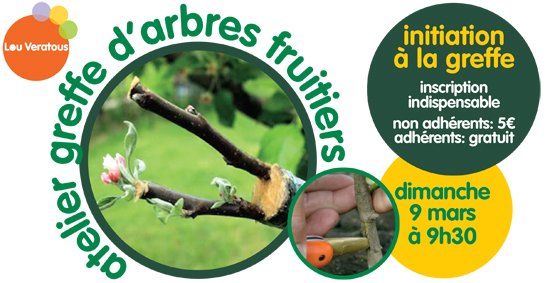 Atelier initiation \u00e0 la greffe des fruitiers