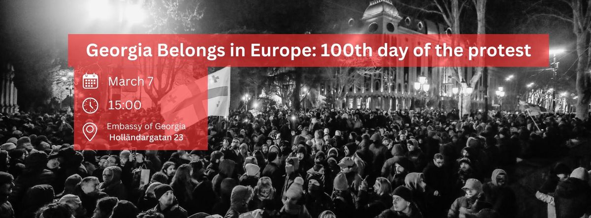 Georgia Belongs in Europe: 100th day of the protest!