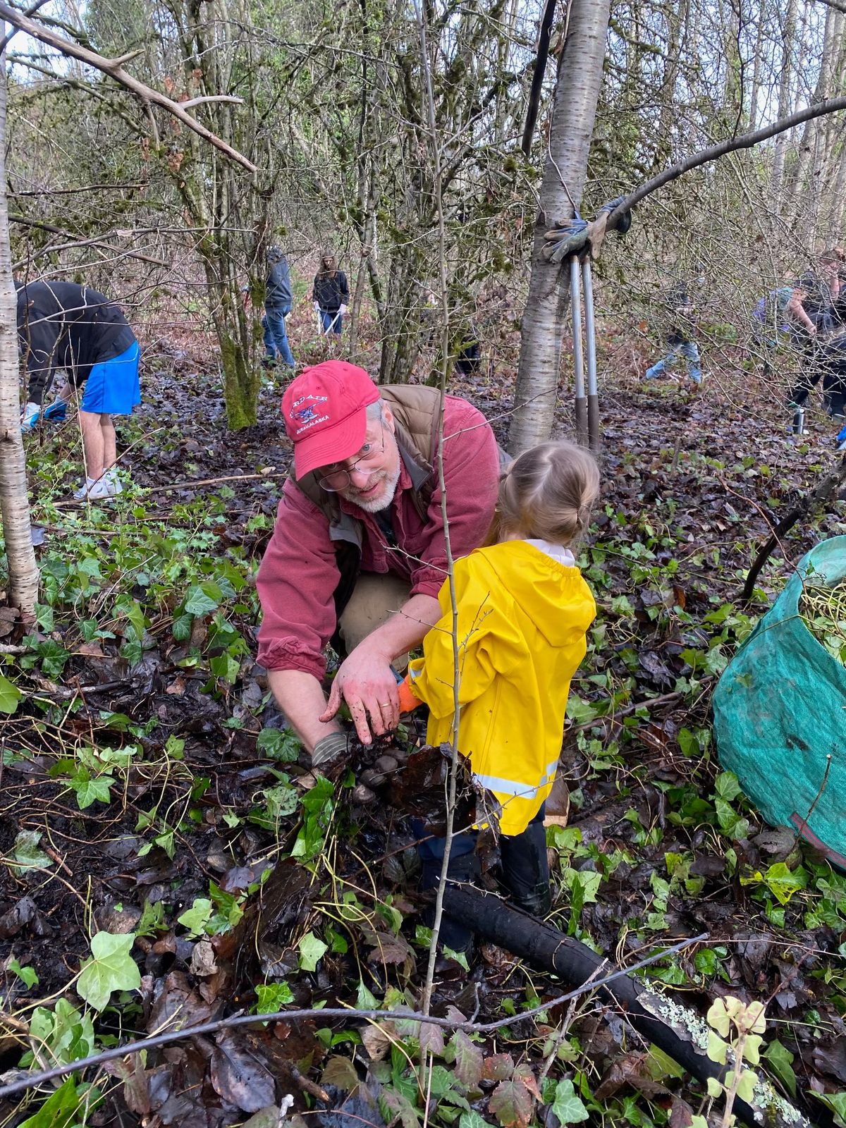 1\/20 Swamp Creek Habitat Restoration Project - Wallace Swamp Creek Park