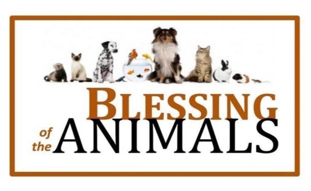 Blessing of the Animals 