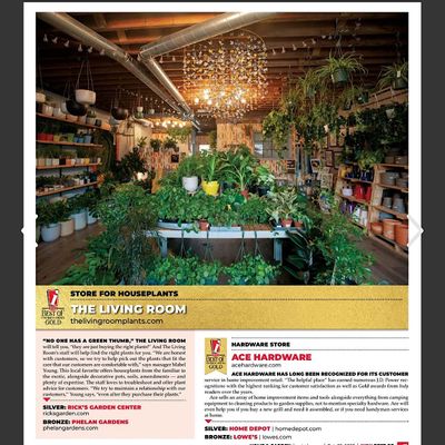 The Living Room Plants