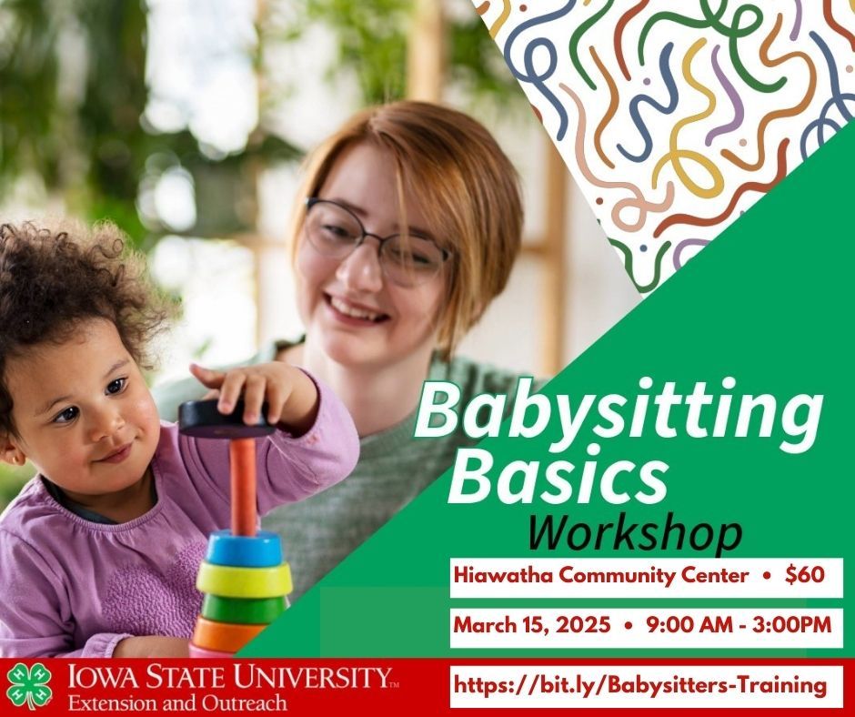 Babysitting Basics Workshop