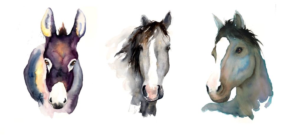 Watercolor Horse Workshop at the Center for Equine Learning