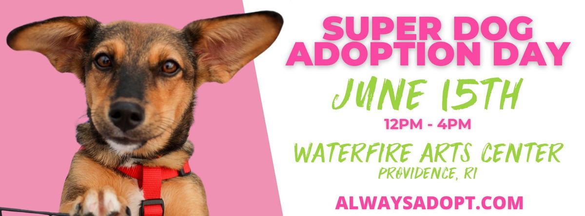 Super Dog Adoption Day 
