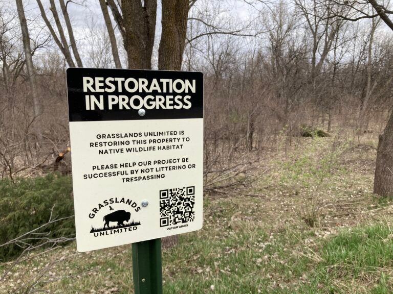 Urban Habitat Hike at Cottonwood Creek Preserve