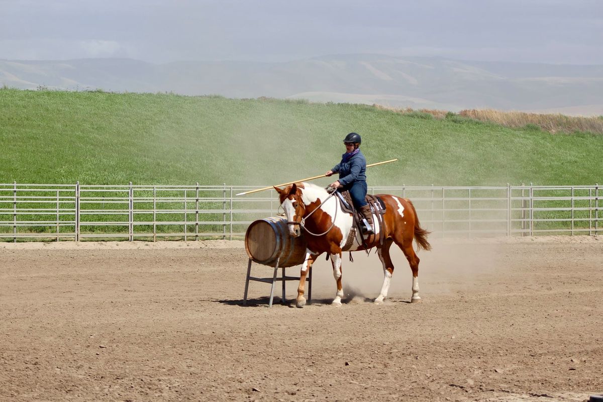 WE Oregon - June WE Clinic & Show(s)