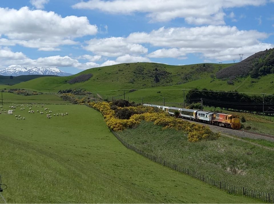 Kapiti Island with Train trip