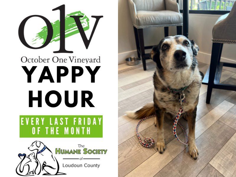 Yappy Hour