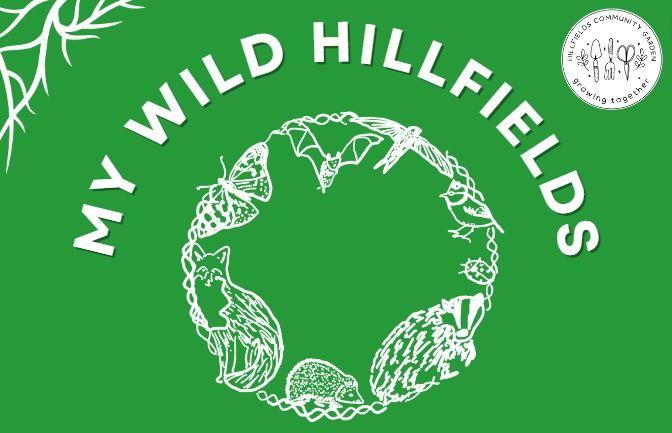 Natural Hillfields with Avon Wildlife Trust